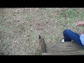 Feeding the Squirrels