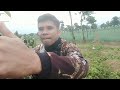 hunting tekukur di kebun bawang sangat asik dan menyenangkan#yancehunter