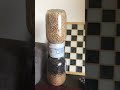 Morel Mycelium Jar Experiment Progress (Morchella Importuna)