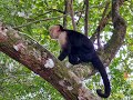 Manuel Antonio en fotos