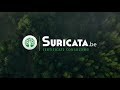 Short presentation of Suricata.
