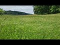 Peaceful waving grass with birdsong