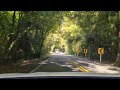 Driving through shady tree lined roads outside Hamilton, New Zealand