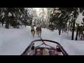 My lapland trip