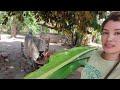 Sipag talaga ng nanay ko!(Daming ganap!)#simplengbuhaysabukid #buhaybukidfamilvlogbuhayprobinsya