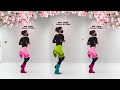 벚꽃길 -  Beginner - D4M Line Dance