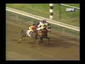 1996 Haskell Invitational Stakes