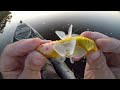 Does This Crazy Lure Really Catch Fish?