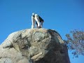 Twenty Point Problem - Santee Boulders (original audio)
