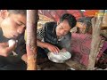 Very Tough Life of Himalayan Buffalo Herdsmen || Life in the Shed During Heavy Rainfall