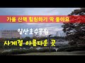 일산의 명소 호수공원 힐링최고