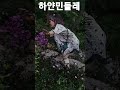 #이원이커버곡  #하얀민들레