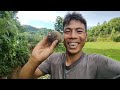 A Day At My Fishing Pond//Fishing Small Fish//Meghalaya//Banrap Vlogs