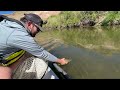 FLY FISHING COLORADO | Float Fishing For Hungry WILD Brown Trout | Gunnison River