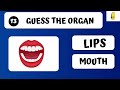 Guess The Organ | Body Parts | Quizzy Kido