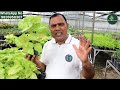 Online Plant (पौधे )समझदारी से खरीदे || AI टेक्निक से सावधान || Best Indoor Plant ||