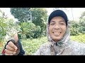 kebun terbengkalai ternyata banyak di huni tupai dan tekukur @Ayuk_SniperTanggamus