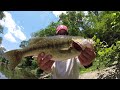 I Found Some Monster Fish In This Small Creek! This Is The Best Creek Fishing Bait!