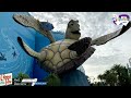 Universal's Cabana Bay Beach Resort Overview & Review