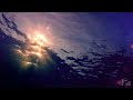 Tap into Wonder and Energy of the Sun  |  A Focus and Flow Soundscape