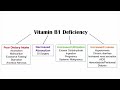 Thiamine (Vit B1) Sources & Causes of Deficiency | Diets, Medications, Gastrointestinal Conditions