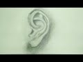 Easy Ear Drawing || How to Draw Ear Step by Step|| Tutorial of Ear Easy