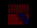 Five X - Savannah (Visualizer)