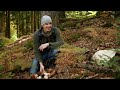 I must be dreaming!? You have to see this unreal mushroom hunt! Mushrooming, Pilze, Porcini.