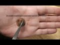 Restoring a Found Coin: Ultrasonic Cleaner in Action | Metal Detecting Treasure