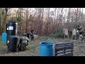 Room clearing live fire