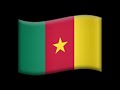 Cameroon EAS Alarm (ALT)