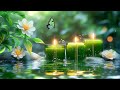 Soothing Piano Relaxation Music🌿Gentle Piano Music for Sleep ~ Water Sounds & Relax Meditation