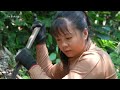 Harvesting Wild Ginseng Goes To Market Sell - Digging Underground | New Free Bushcraft