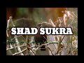 Shad sukra hit song 2024