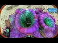 Subnautica part 5?!