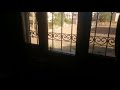 Sparrow bird looking at itself and keeps flying into and pecking window glass. Khartoum Sudan