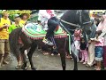 Kuda Joget Arak Arakan Kataman Desa Krandegan Puring 12/2/2023