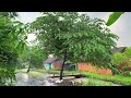 Heavy rainfall in my Village in Indonesia||very strong and weth||indoculture