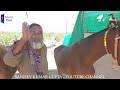 बिकाऊ घोड़े - पार्ट 23 Balotra Horse Market 2024 Tilwada Pashu Mela Horse Sale Price Video