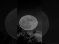 dark trap beat full moon horror horrorcore rap Instrumental 2023 #horrortypebeat #darktrapbeat