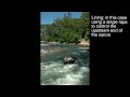 Reading the River (3):  Three White Water Moves in a Canoe on the Ardeche and two swims