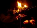 Funny sounds of wood burning in my fireplace.