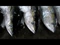 How To Cut Tuna For Sushi and Sashimi