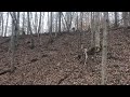 09 yfz 450 leafy climb