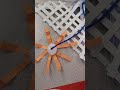 Spider craft