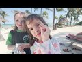WE FOUND HERMiT CRABS!! Beach Animals, Sand Castles, and Playing in the Pool with Adley Niko & Navey