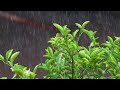 Rainstorm Sounds for Relaxing, Focus or Deep Sleep | Nature White Noise | 8 Hour Video