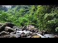 Beautifull Mountain River Sounds with Beautifull Scenery • Sleep Soundly & Stress Relief