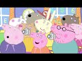 Verkleed je met Peppa Pig 🎃 Tekenfilm | Peppa Pig Nederlands Compilatie Nieuwe Afleveringen