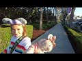 Candy Cane Inn & Walk to Disneyland